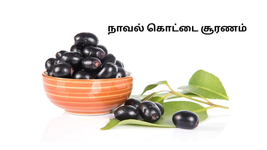 நாவல் கொட்டை சூரணம் – சர்க்கரை நோயைக் கட்டுப்படுத்தும் சிறந்த சித்த மருந்து