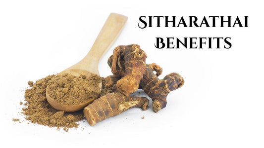 Sitharathai (Adhatoda Vasica) Benefits, Uses, Dosage & Siddha Medicine