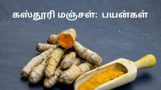 கஸ்தூரி மஞ்சள்: இயற்கை அழகுக்கான ரகசியம் | பயன்கள் & பயன்பாடுகள்