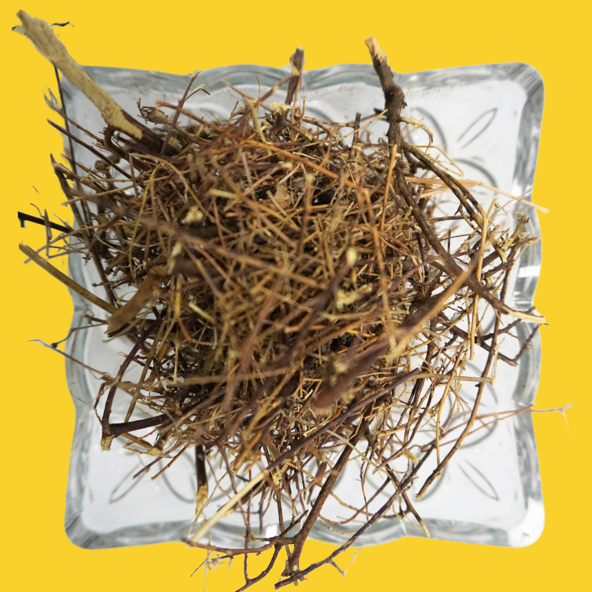 Sivanaar Vembu / Wiry Indigo AllHerbs.com