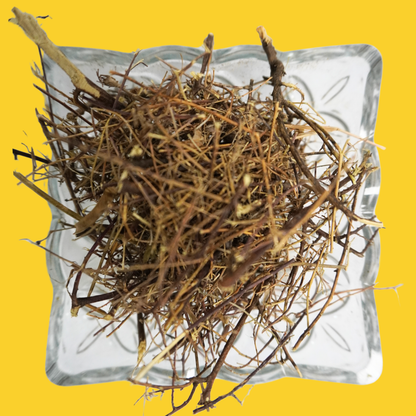 Sivanaar Vembu / Wiry Indigo AllHerbs.com