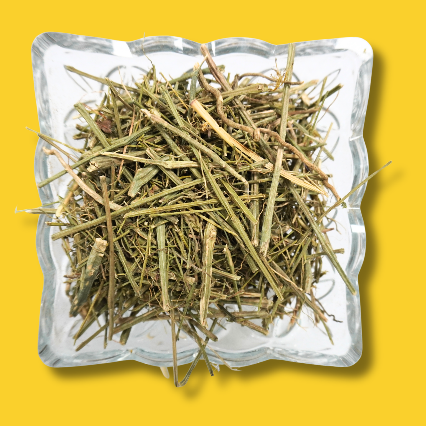 Nilavembu | Andrographis [Dried Raw] AllHerbs.com