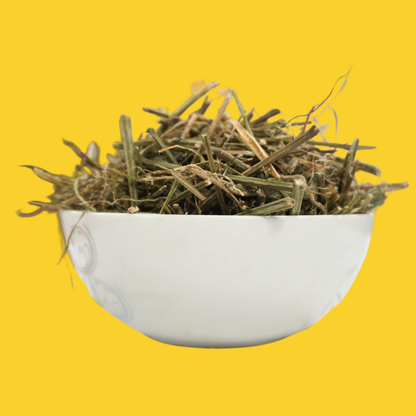 Nilavembu | Andrographis [Dried Raw] AllHerbs.com