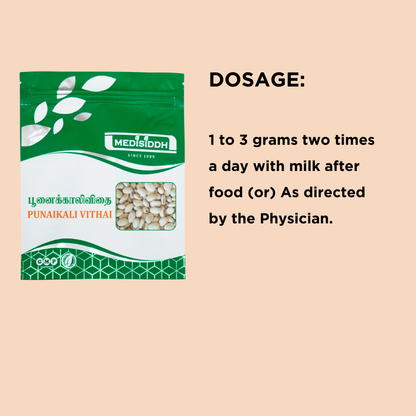 Punaikali Vithai / Velvet bean seed Chooranam - ( kaunch beej ) MediSiddh