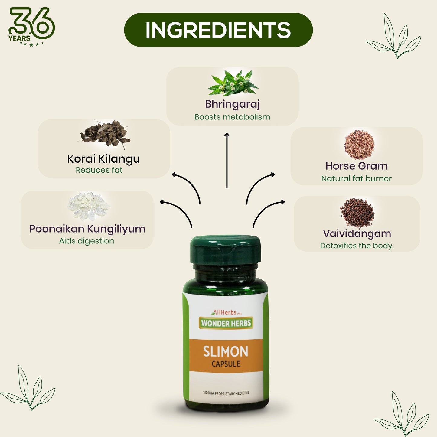 Slimon Capsule AllHerbs.com