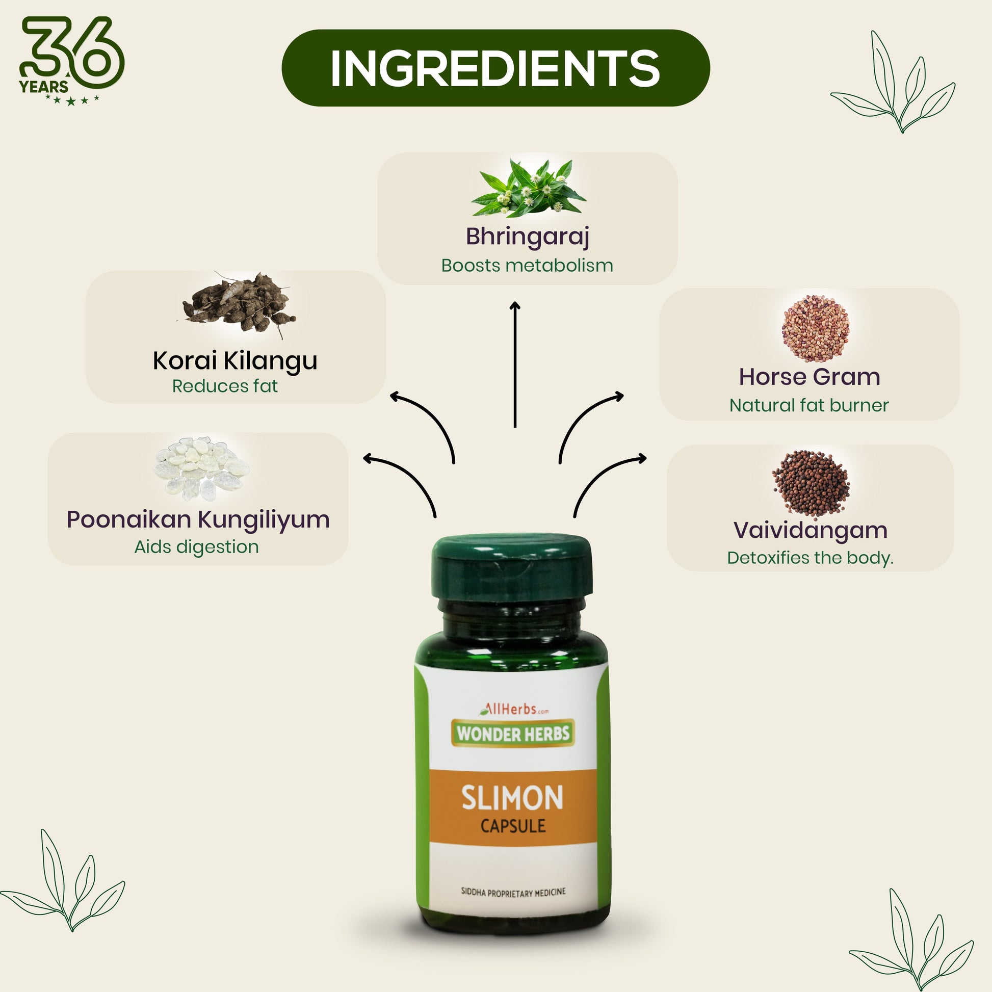 Slimon Capsule AllHerbs.com