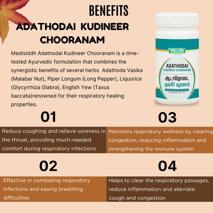 Adathodai kudineer chooranam / Malabar nut MediSiddh