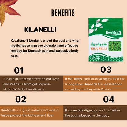 Kilanelli Chooranam / Bhumyamalaki Powder - (Bhumi Amalaki) MediSiddh