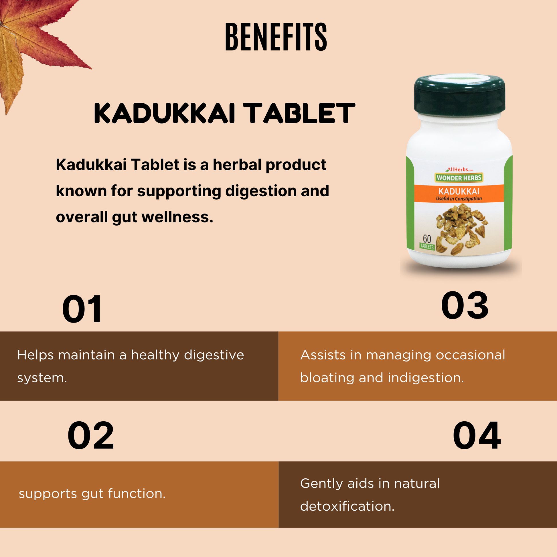 Kadukkai Tablet / Haritaki Tablet - AH MediSiddh