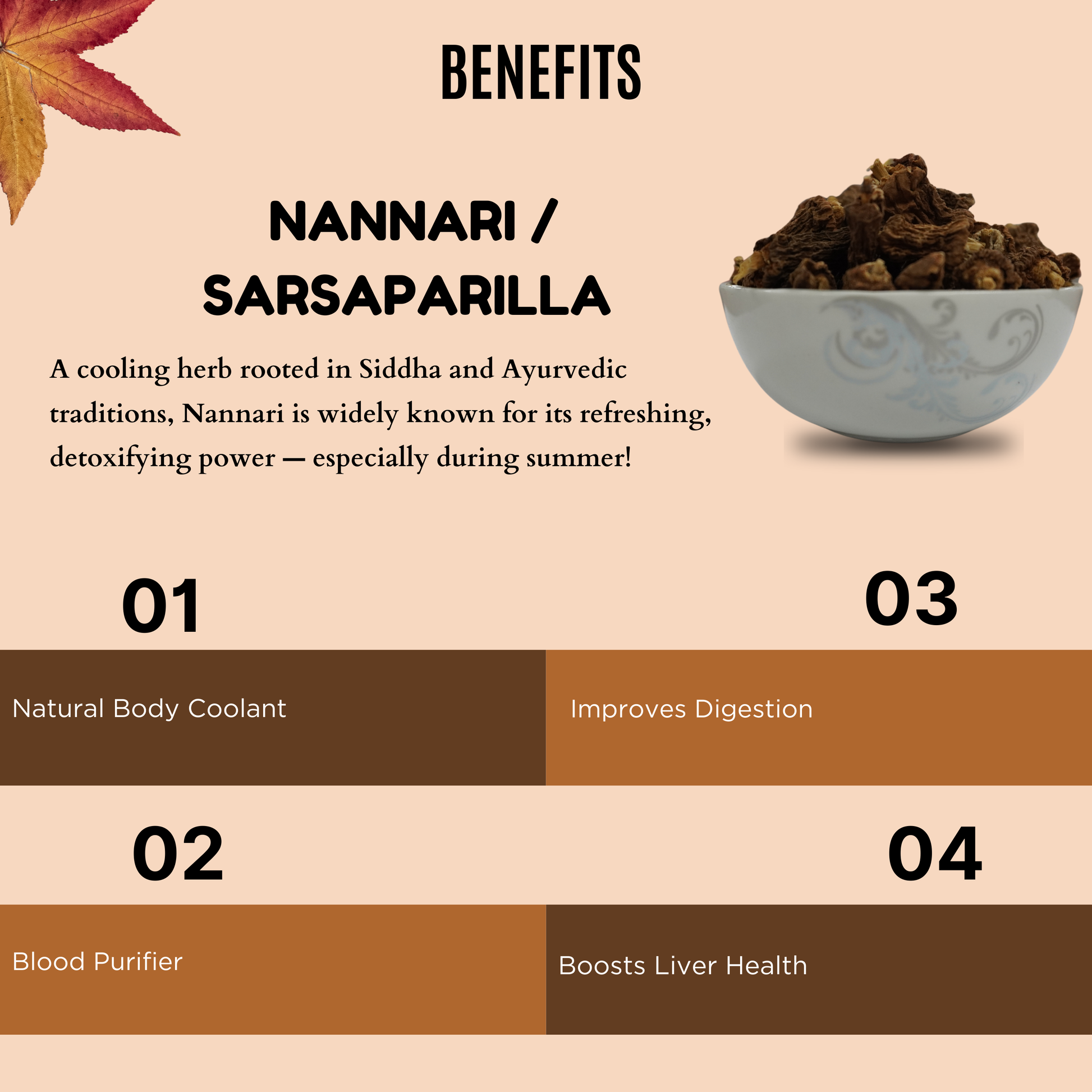 Nannari / Sarsaparilla [Dried Root] AllHerbs.com