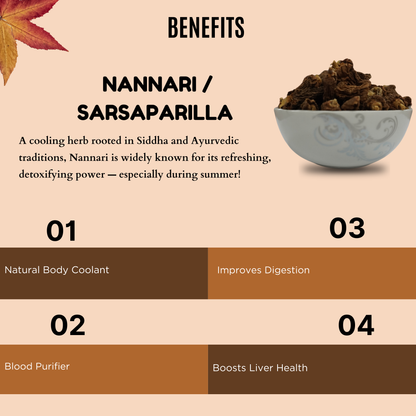 Nannari / Sarsaparilla [Dried Root] AllHerbs.com