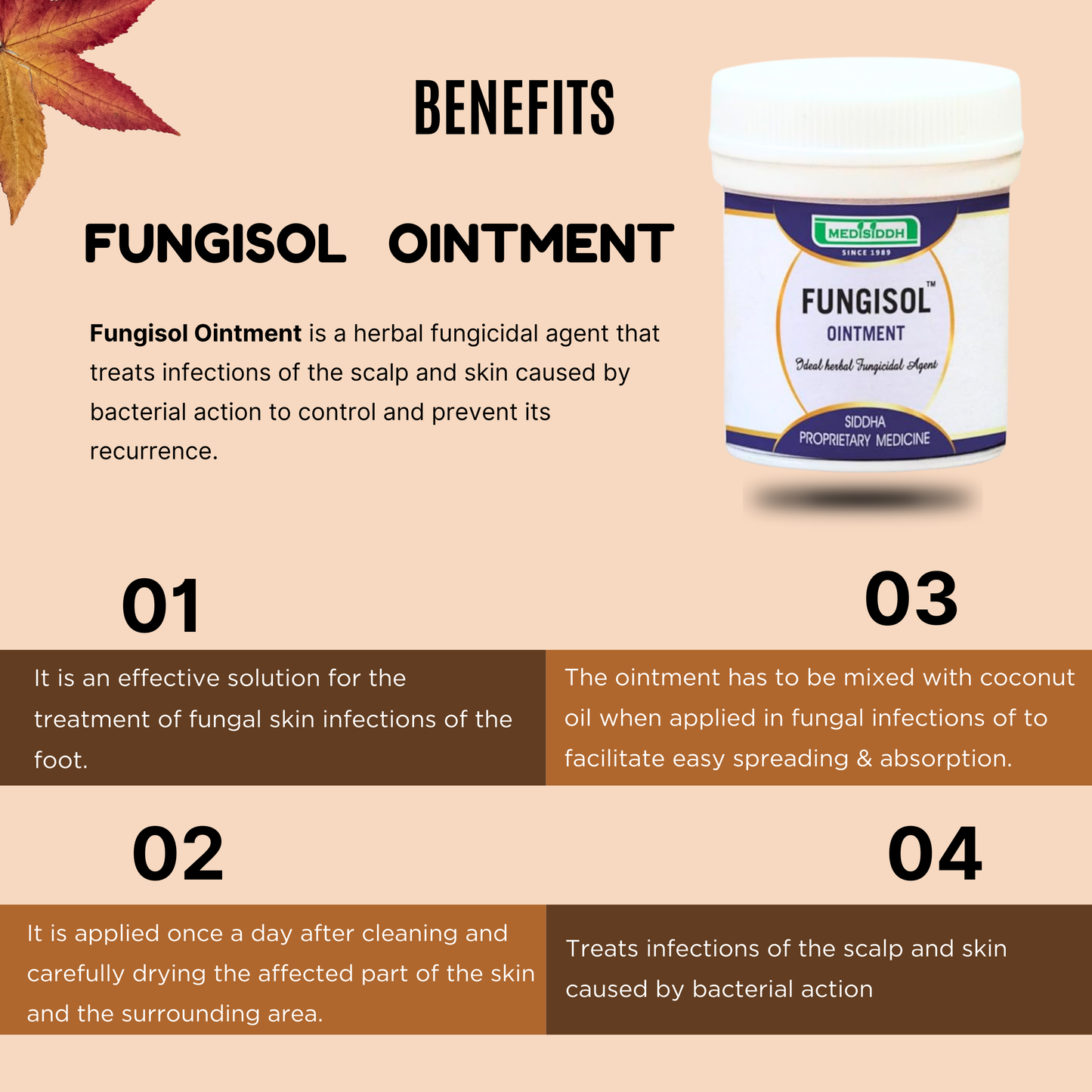 Fungisol Ointment MediSiddh