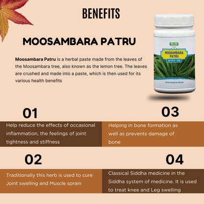 moosambara patru / aloe vera AllHerbs.com