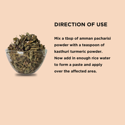 Amman Pacharisi  | Snake Weed  dry [Raw] AllHerbs.com