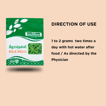 Kilanelli Chooranam / Bhumyamalaki Powder - (Bhumi Amalaki) MediSiddh