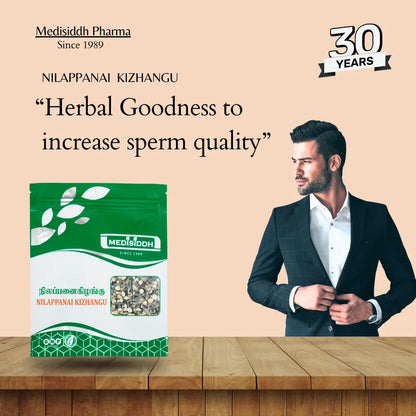 Nilappanai kizhangu Chooranam / Black Musli Powder - (muesli ) MediSiddh