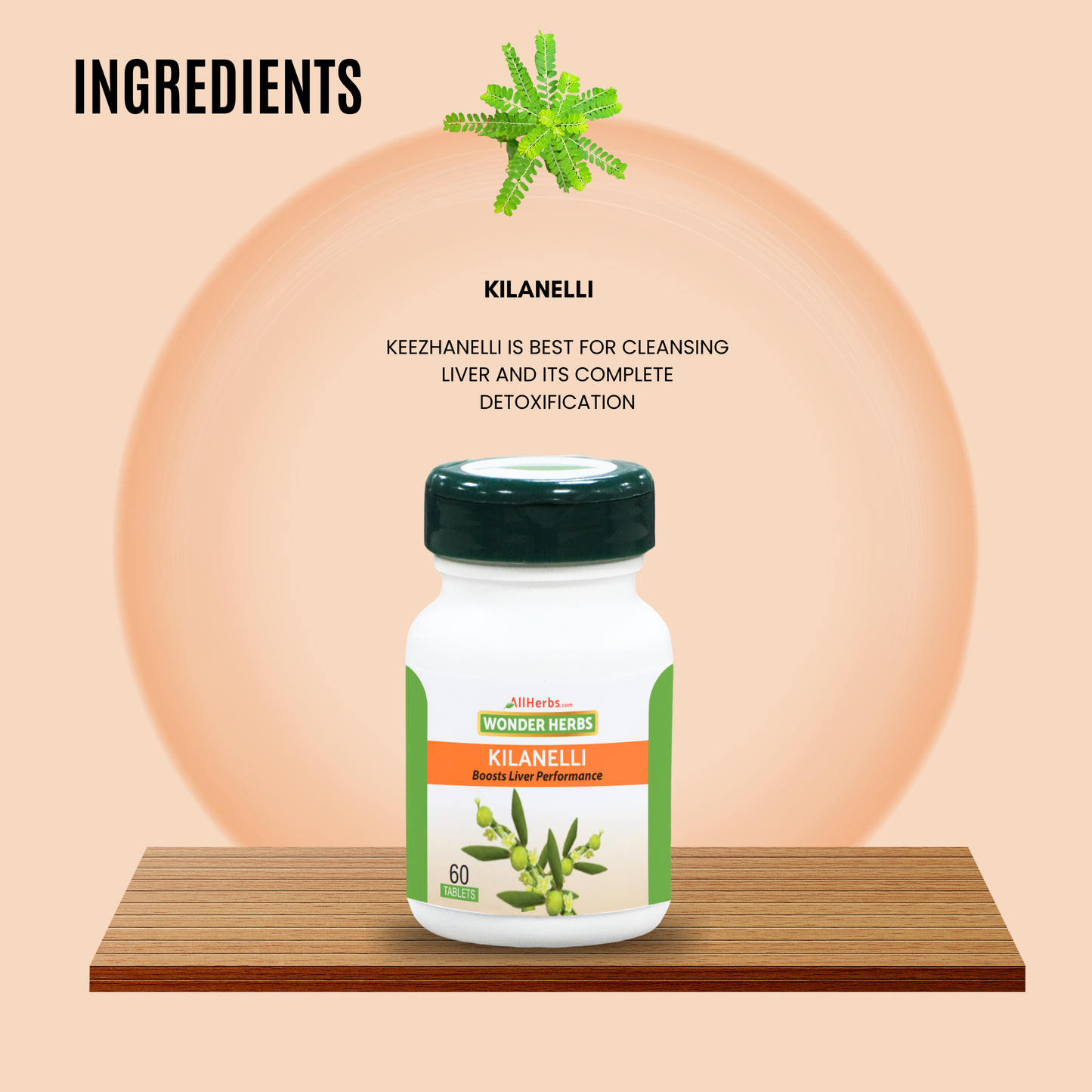 Kilanelli Tablet - AH /Keezhanelli plant /  Bhumi Amla MediSiddh