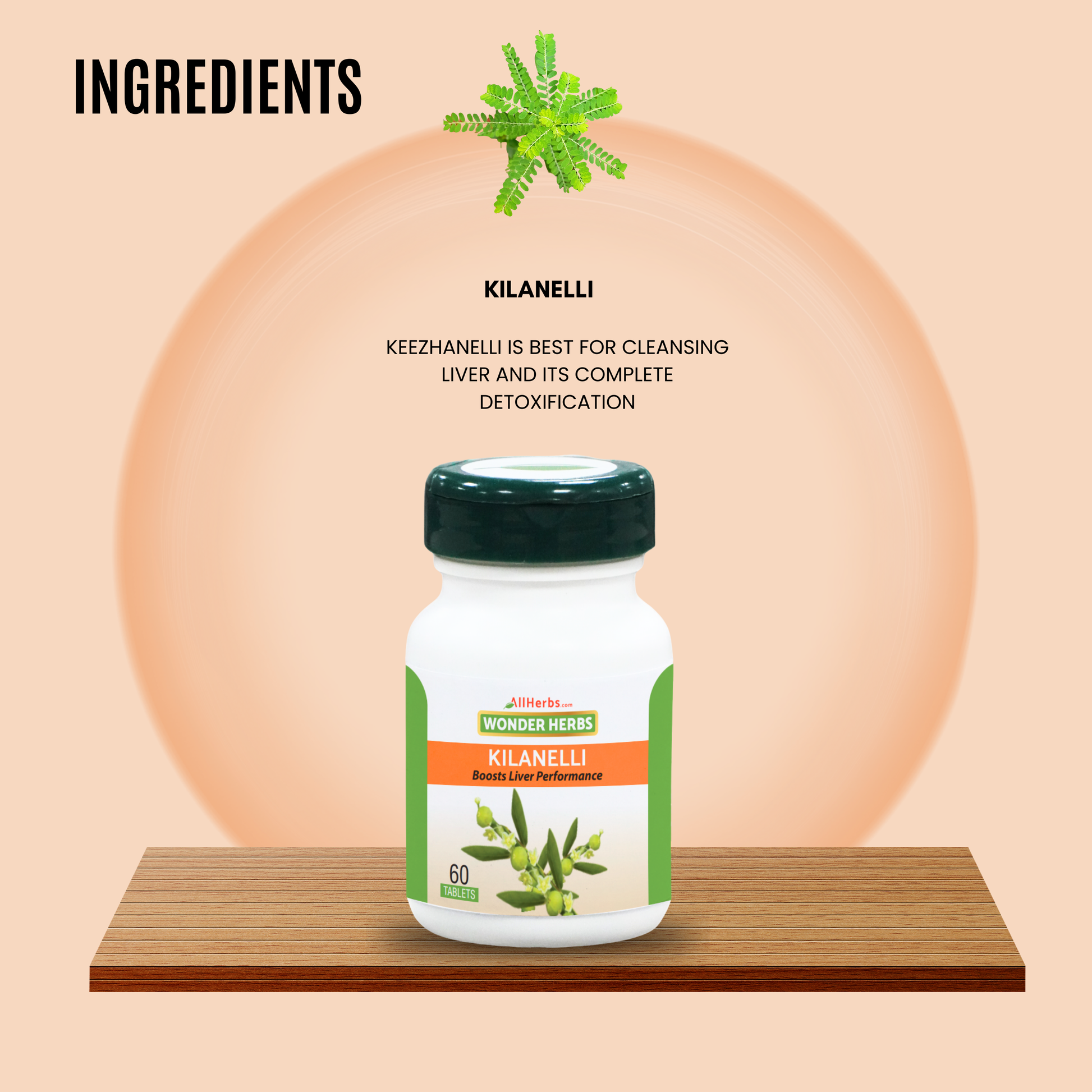 Kilanelli Tablet - AH /Keezhanelli plant /  Bhumi Amla MediSiddh