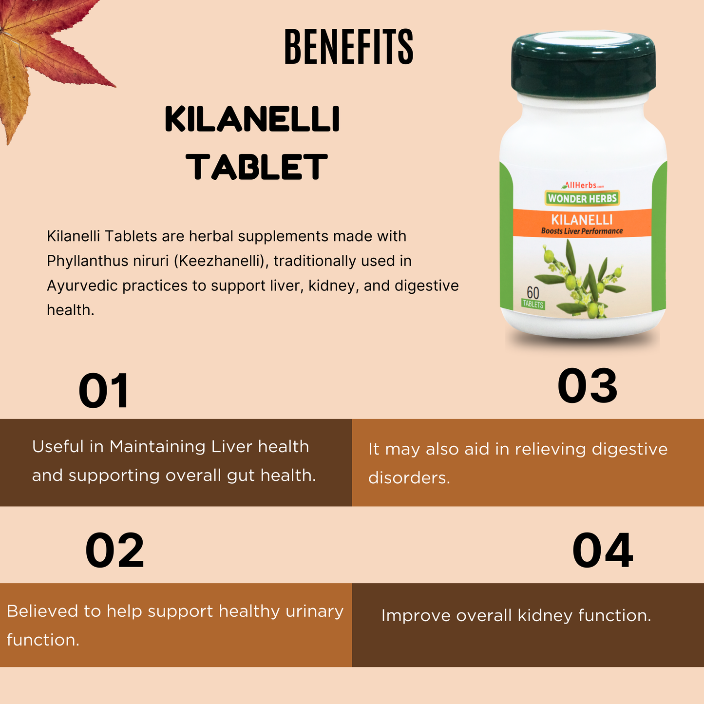 Kilanelli Tablet - AH /Keezhanelli plant /  Bhumi Amla MediSiddh